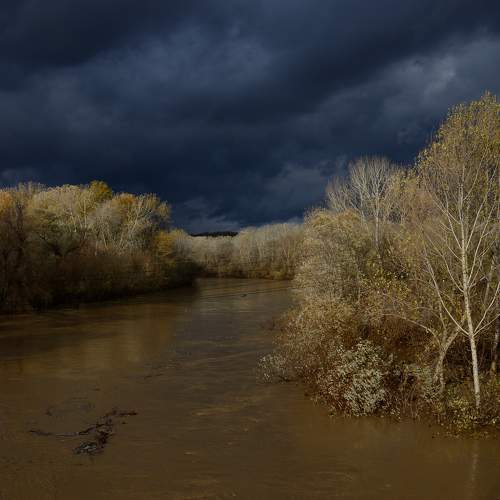 Photo #10278746