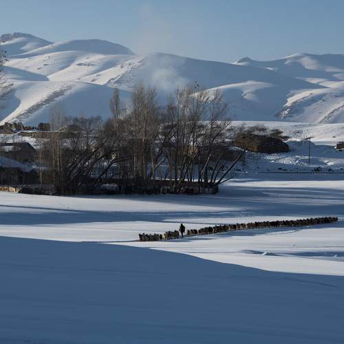 Photo #10279409