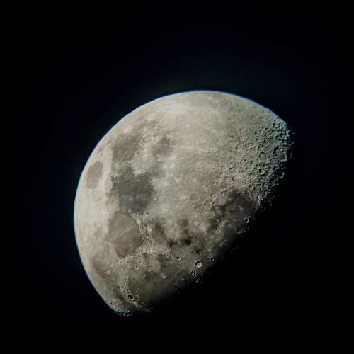 Photo #10279426