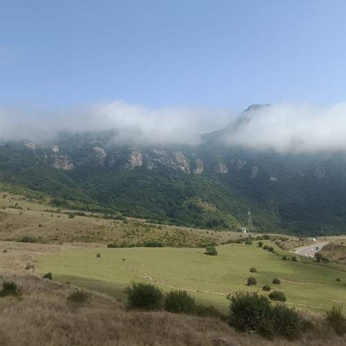 Photo #10279516