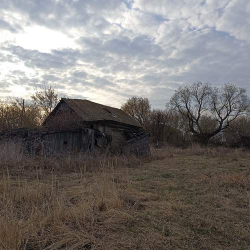 Photo #10279679