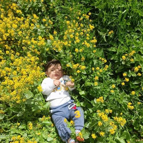 Photo #10280138