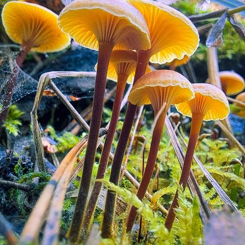 Photo #10280252