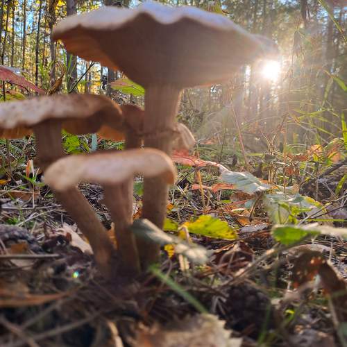 Photo #10280255