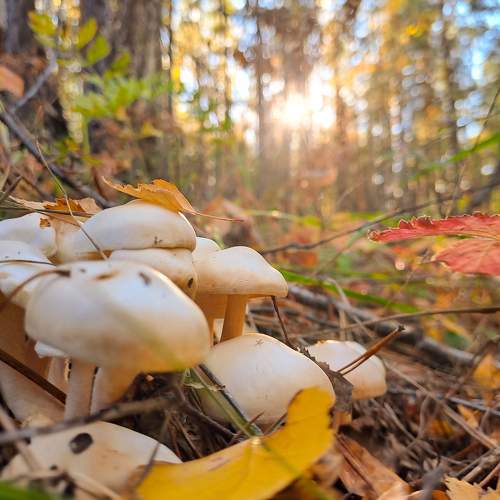 Photo #10280258