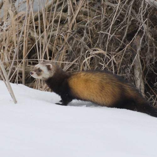Photo #10280403