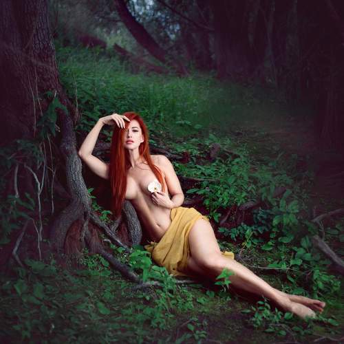 Photo #10280810