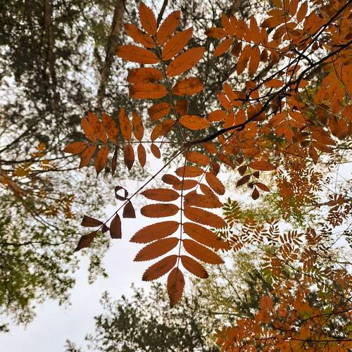 Photo #10280815