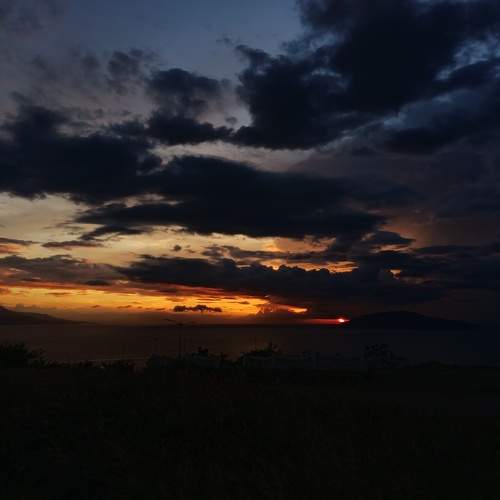 Photo #10280880