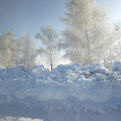 Photo #10281422
