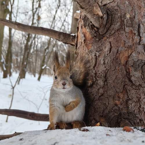 Photo #10281919