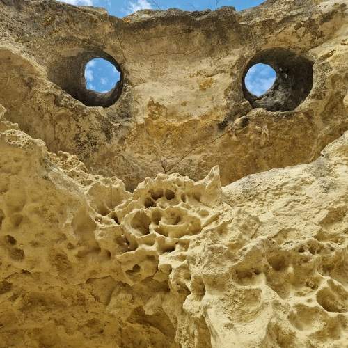 It's watching you!