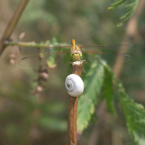 Photo #10282200