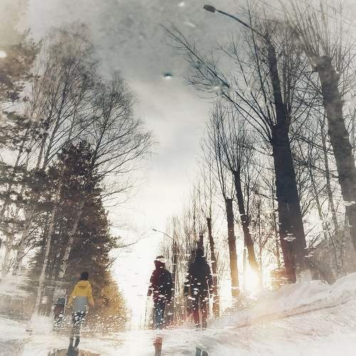 Photo #10282692