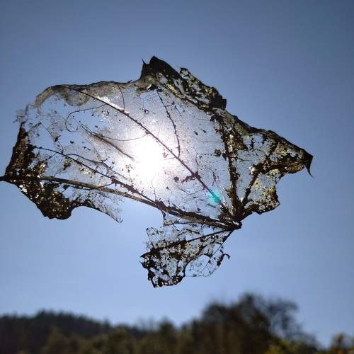 Photo #10282833