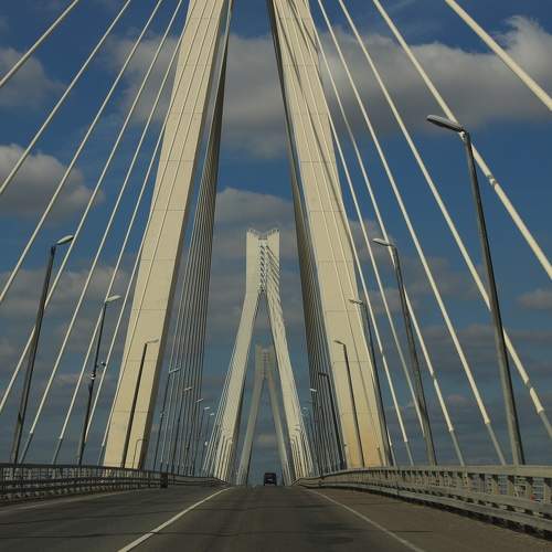 Photo #10282986
