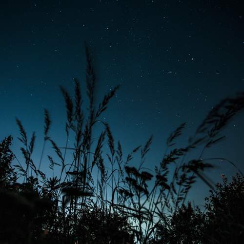 Photo #10283228