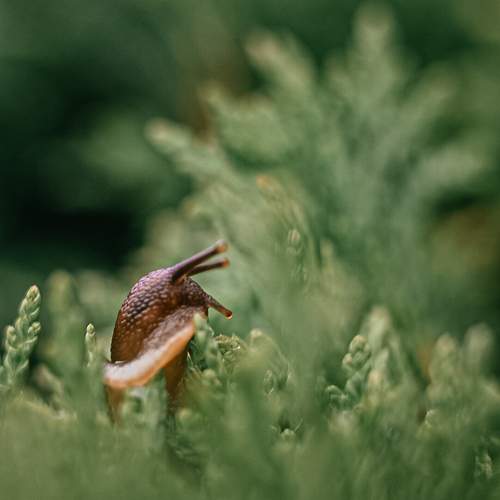 Photo #10283259