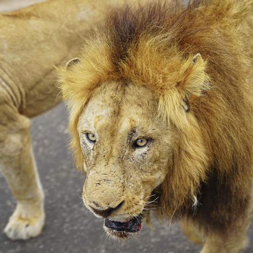 Photo #10283823