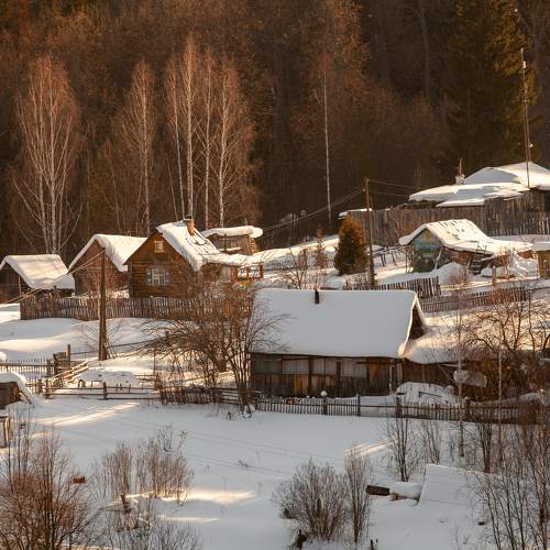 Photo #10284094