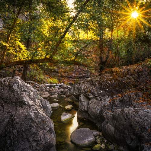 Photo #10284260