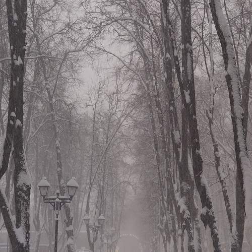 Photo #10284268