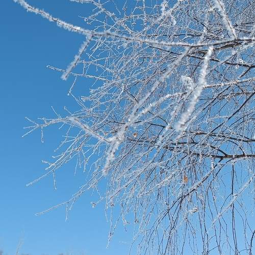 Photo #10284328