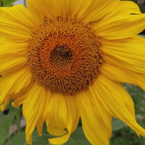 Photo #10284378