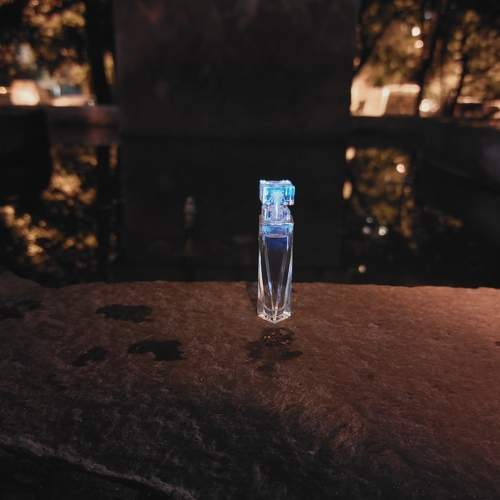 Photo #10284387