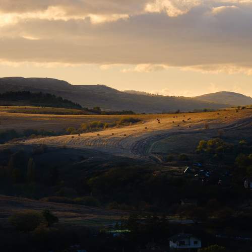 Photo #10284529