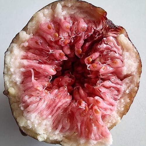 Photo #10284729