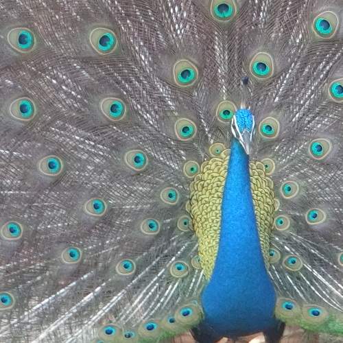 Photo #10284764