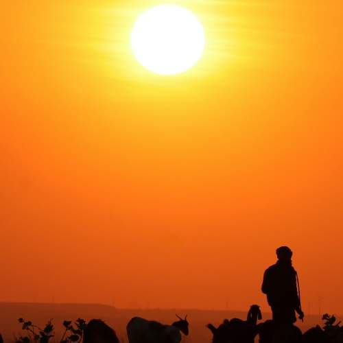 Photo #10284853