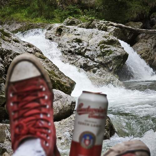 Photo #10284869