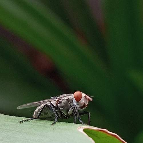 Photo #10284885