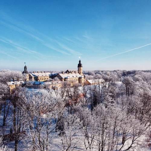 Photo #10285182