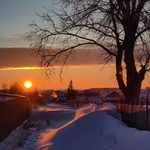 Photo #10285315