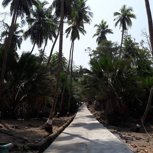 Photo #10285470