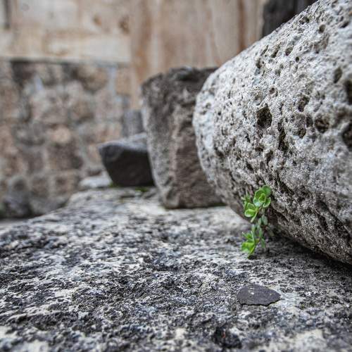 Photo #10285517