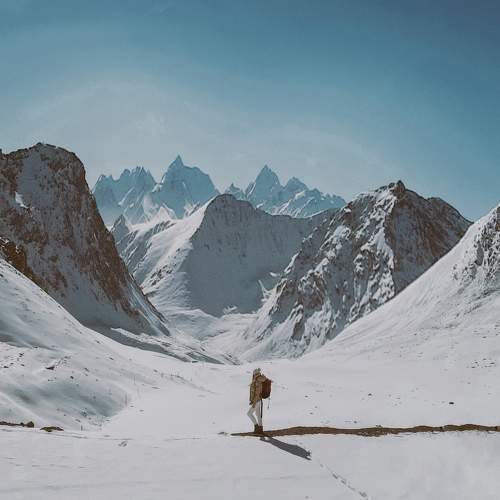 Photo #10285529