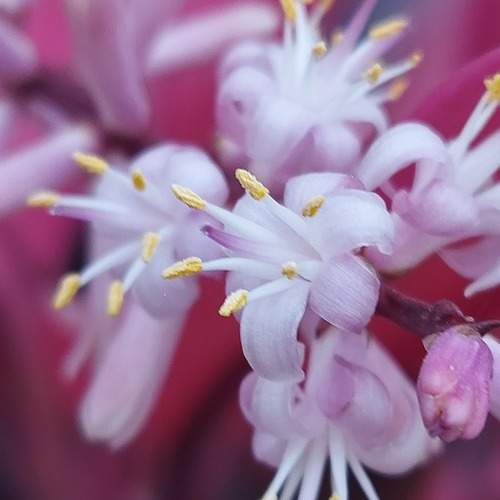 Photo #10285617