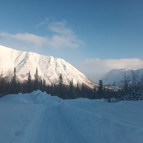 Photo #10285779