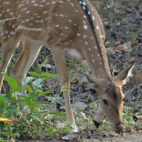 Photo #10286053