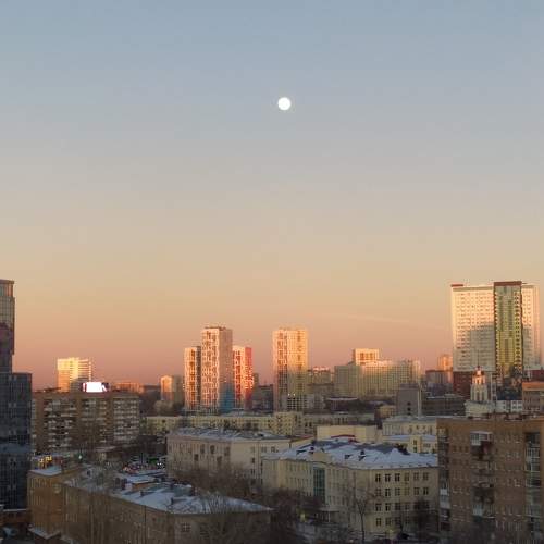 Photo #10286273