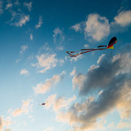 Photo #10286760