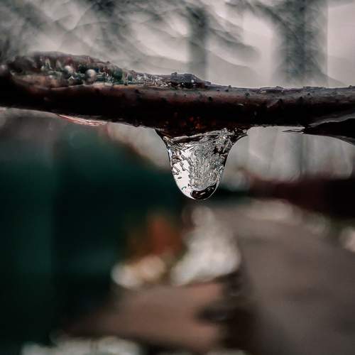 Photo #10286774
