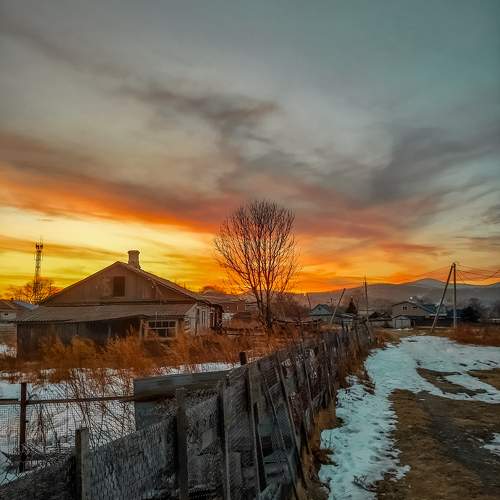 Photo #10286785