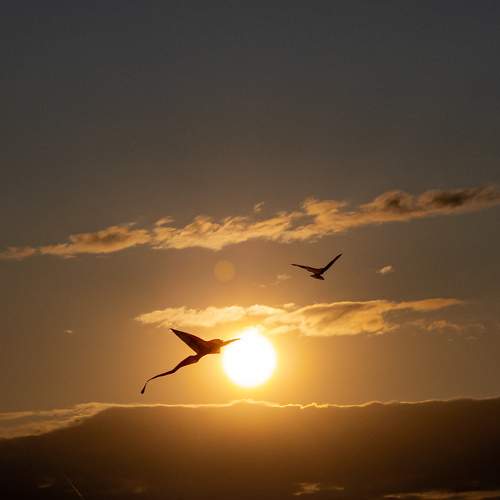 Photo #10286804