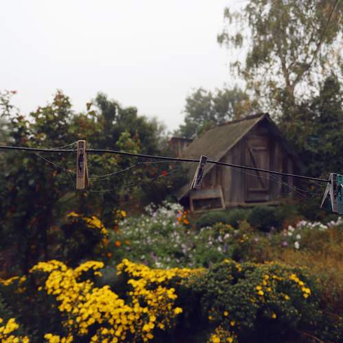 Photo #10286847