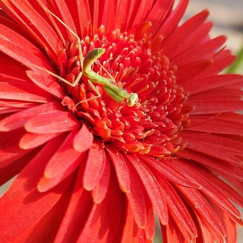 Photo #10286860